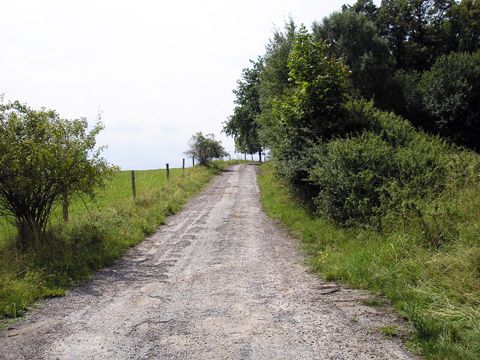 Foto 41